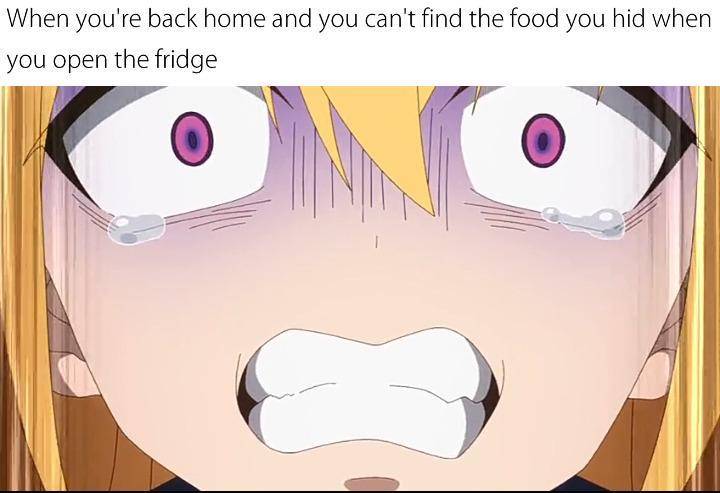 meme anime tentang kulkas