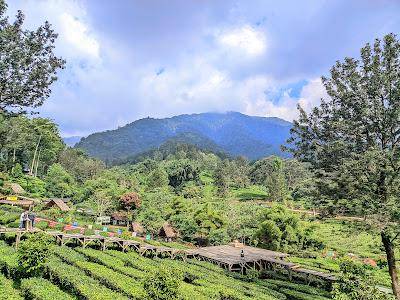Agrowisata Gunung Mas