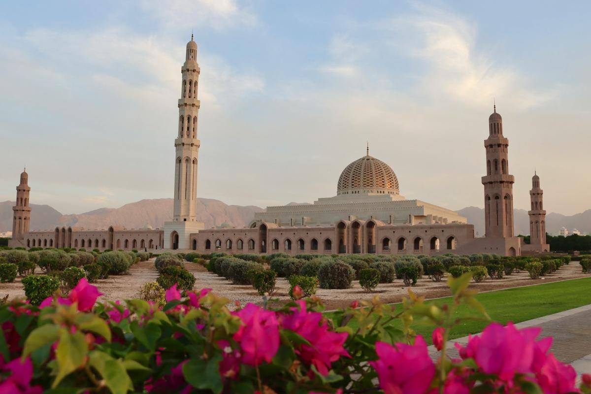 Kota Muscat