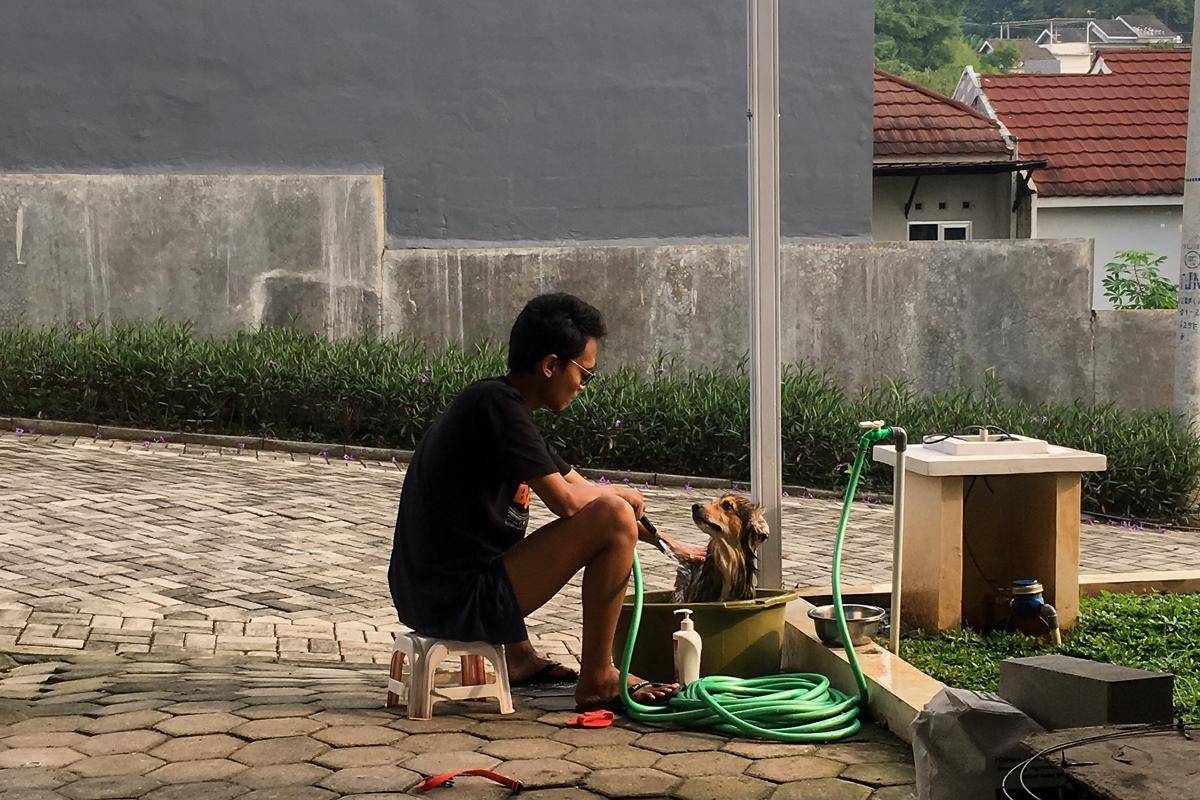 memandikan anjing di rumah (dok.pribadi/Natalia Indah)