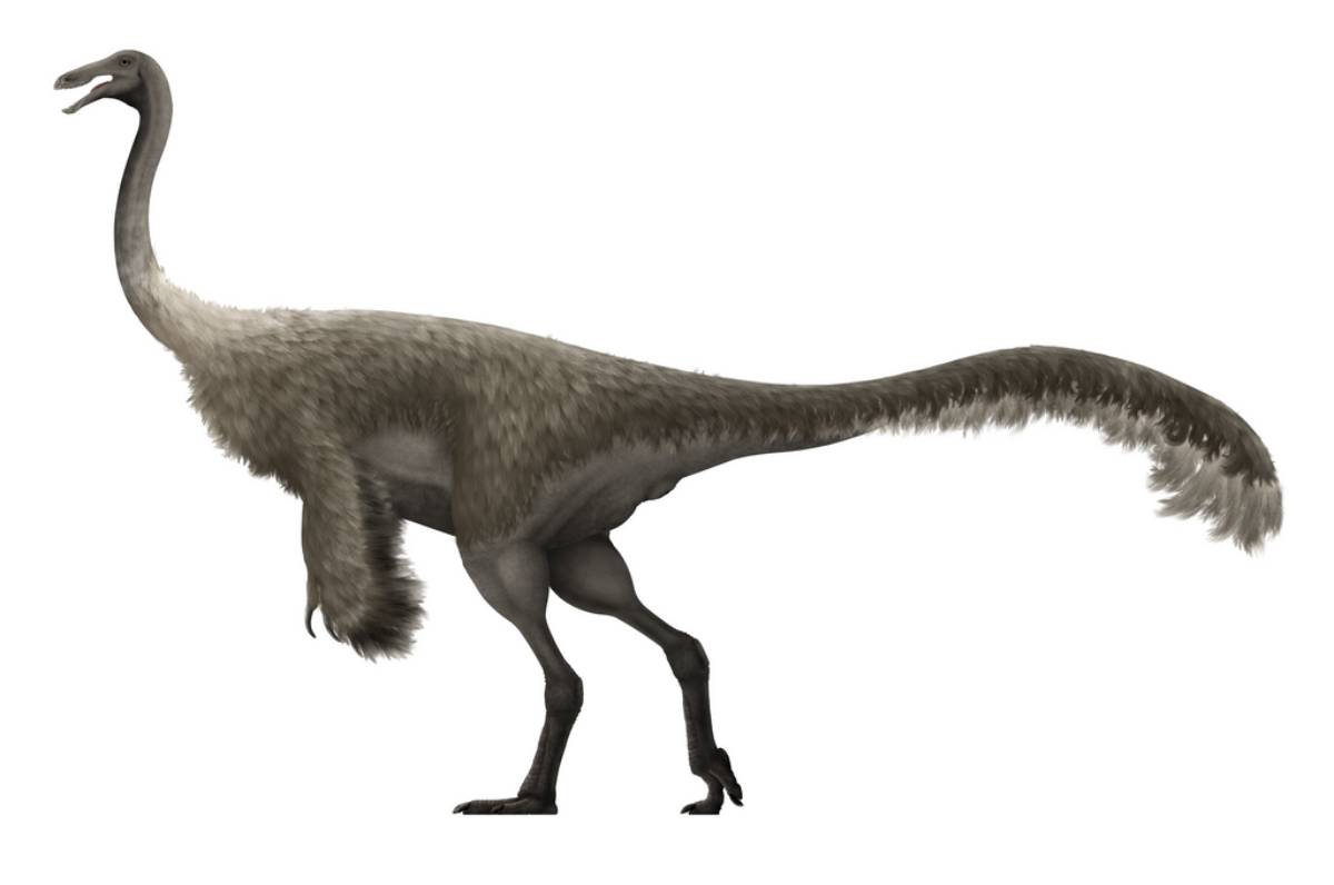 Ilustrasi Gallimimus