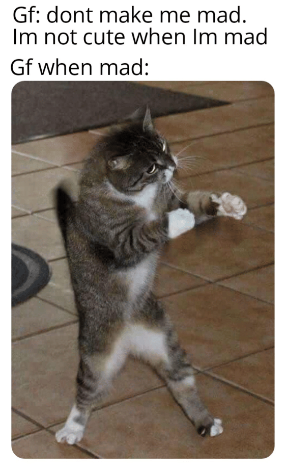 meme momen pasangan berantem