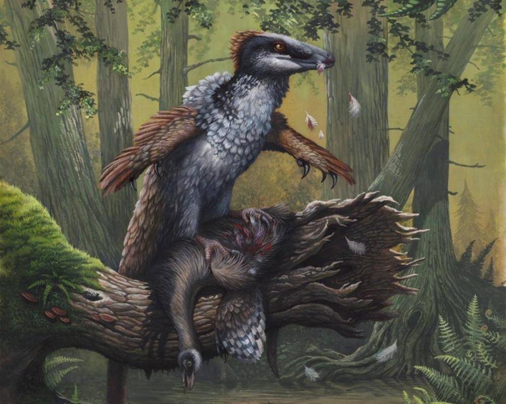 Ornithomimus ilustrasi