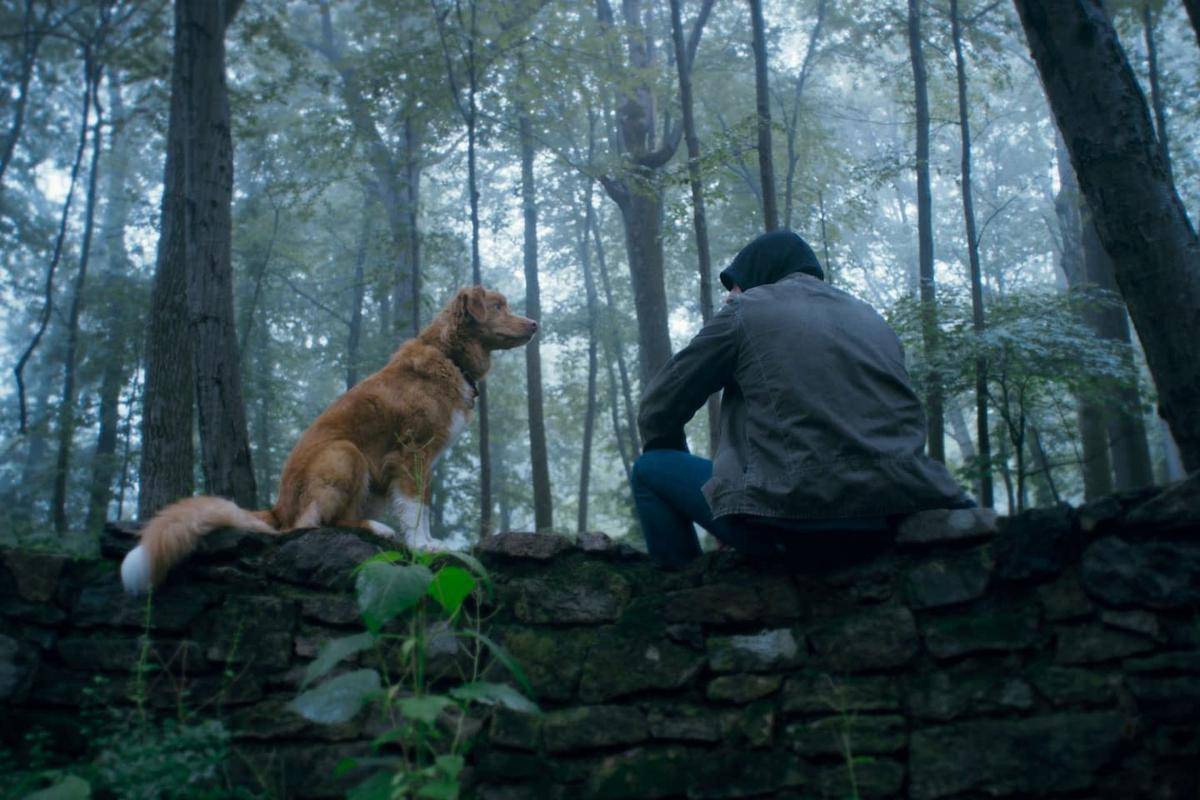 adegan dalam film Good Boy