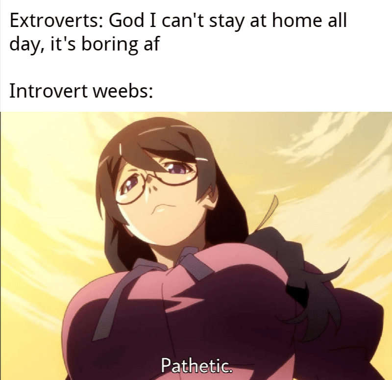 meme anime tentang ekstrover