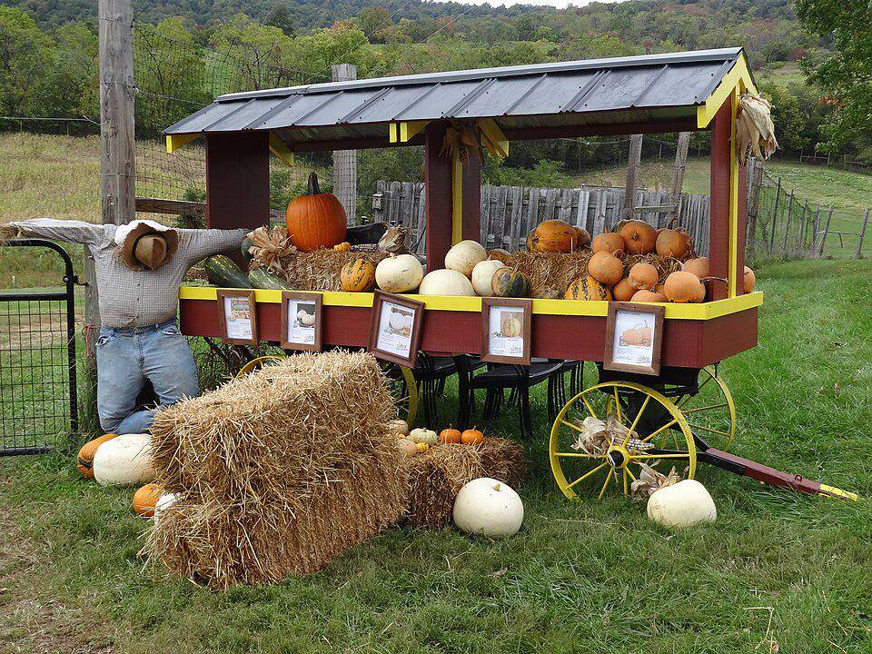 Fall Foliage Festival 