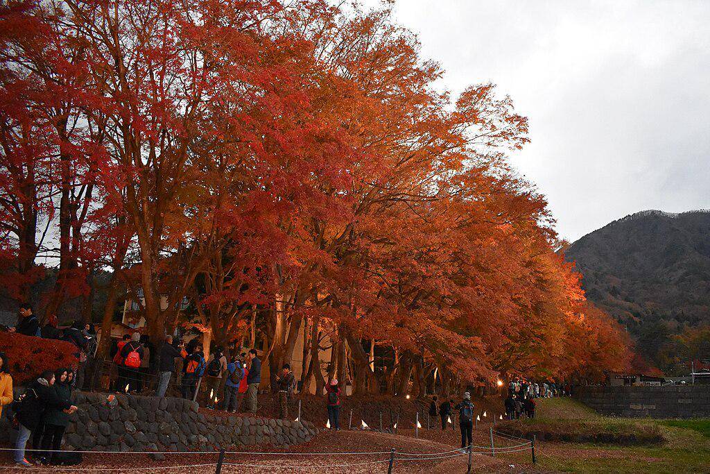 Momiji Matsuri 