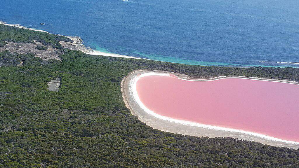 Danau Hillier