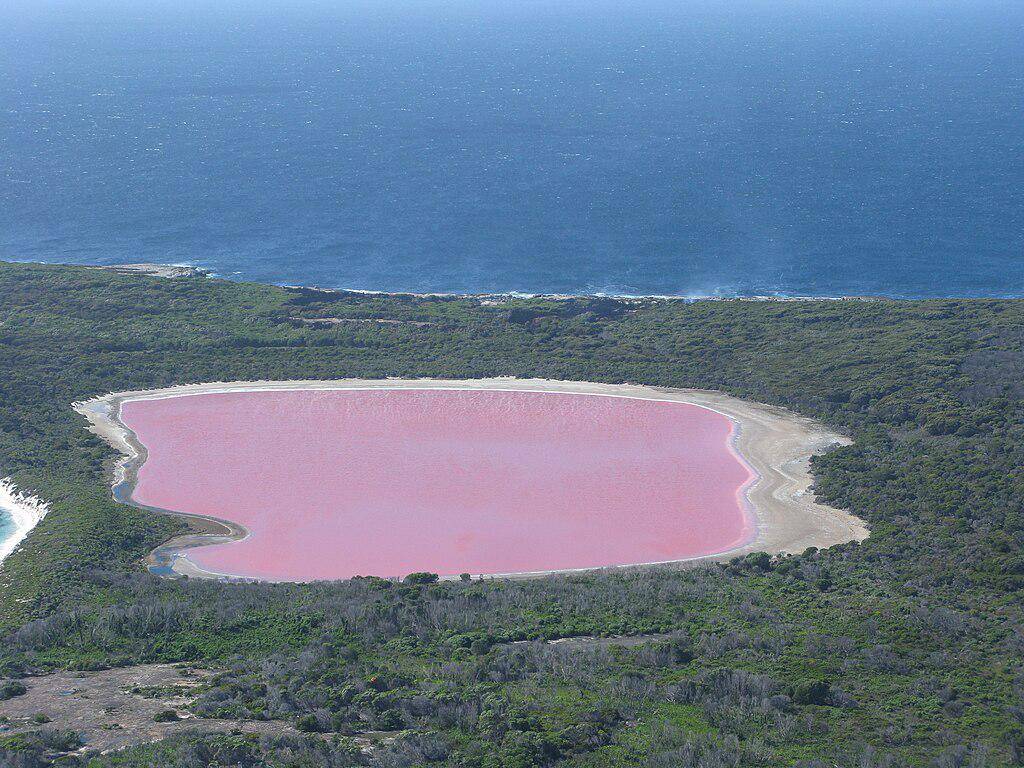 Danau Hillier