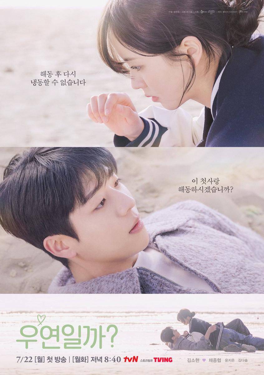 Poster drama Serendipity’s Embrace (dok. tvN/Serendipity’s Embrace)