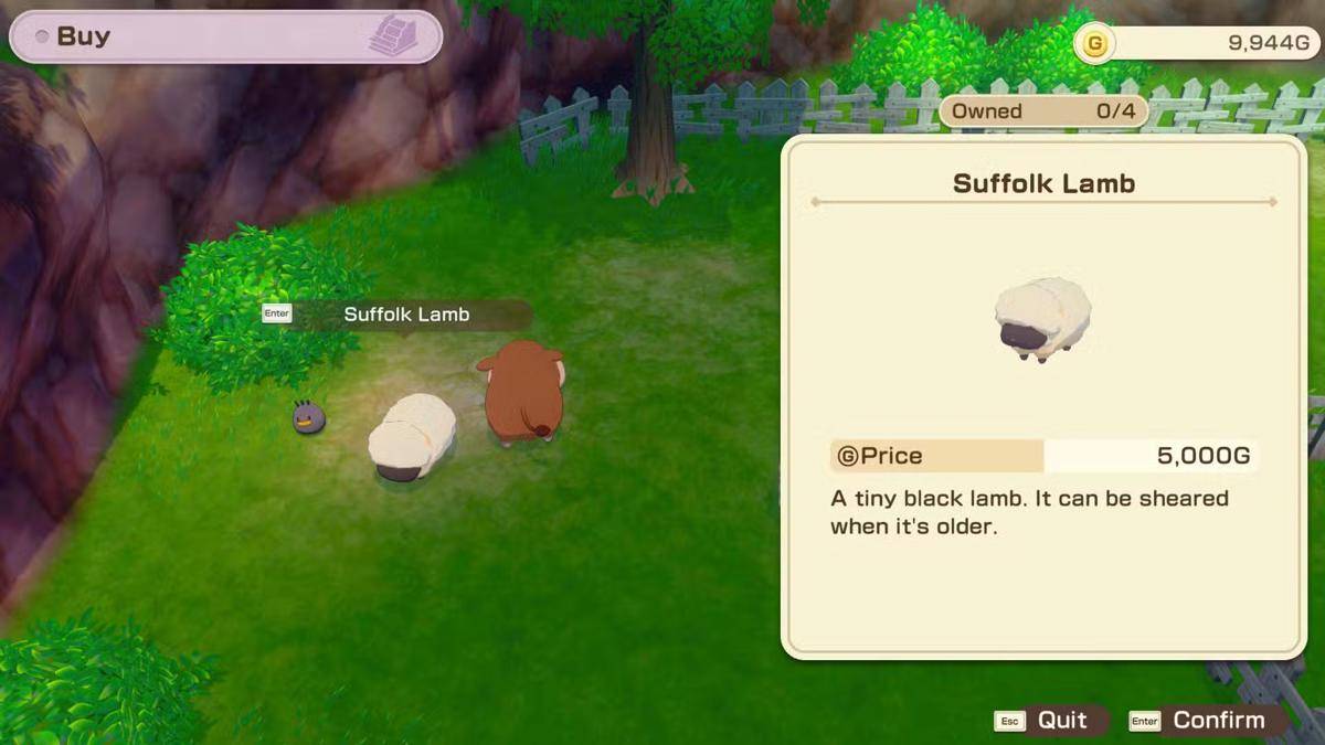 cuplikan Story of Seasons: Grand Bazaar