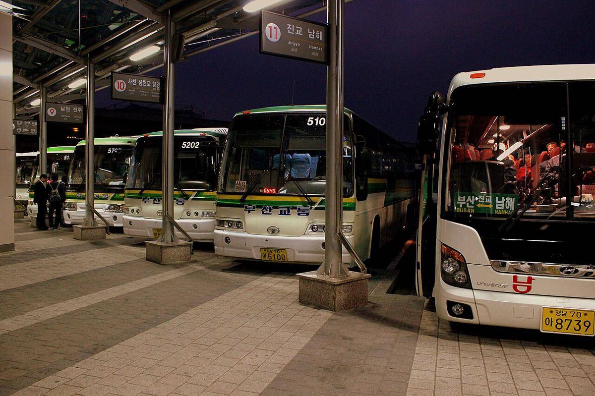 ilustrasi bus malam di Busan