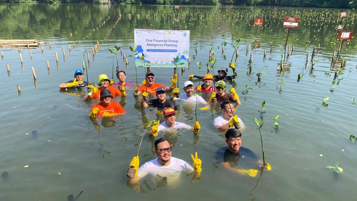 Gerakan tanam mangrove di 6 kota yang diinisiasi One Financial Group (dok.istimewa)