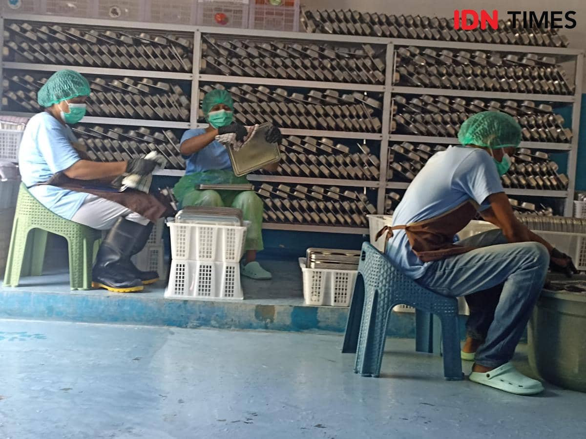 Kondisi SPPG Kupang Timur, Nusa Tenggara Timur, Rabu (1/10/2025). (IDN Times/IDN Times Dini Suciatiningrum)