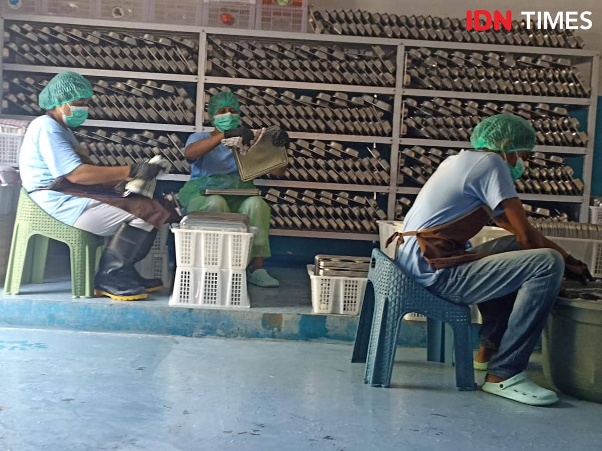 Kondisi SPPG Kupang Timur, Nusa Tenggara Timur, Rabu (1/10/2025). (IDN Times/IDN Times Dini Suciatiningrum)