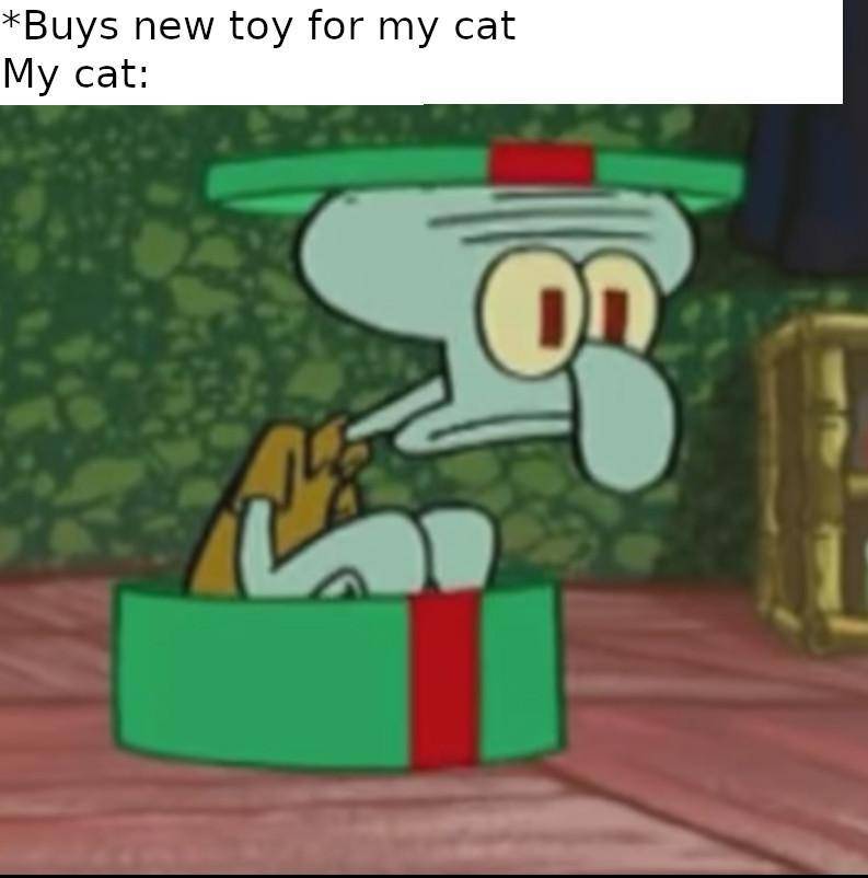 meme SpongeBob tentang kotak