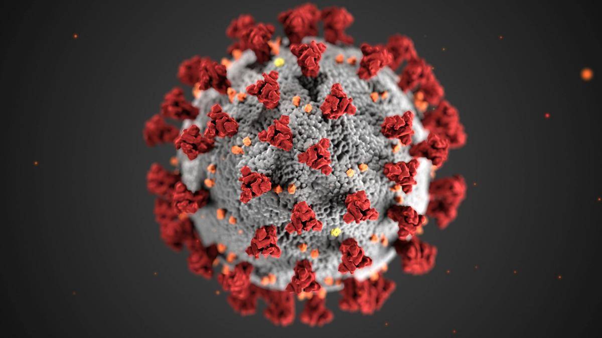 ilustrasi virus