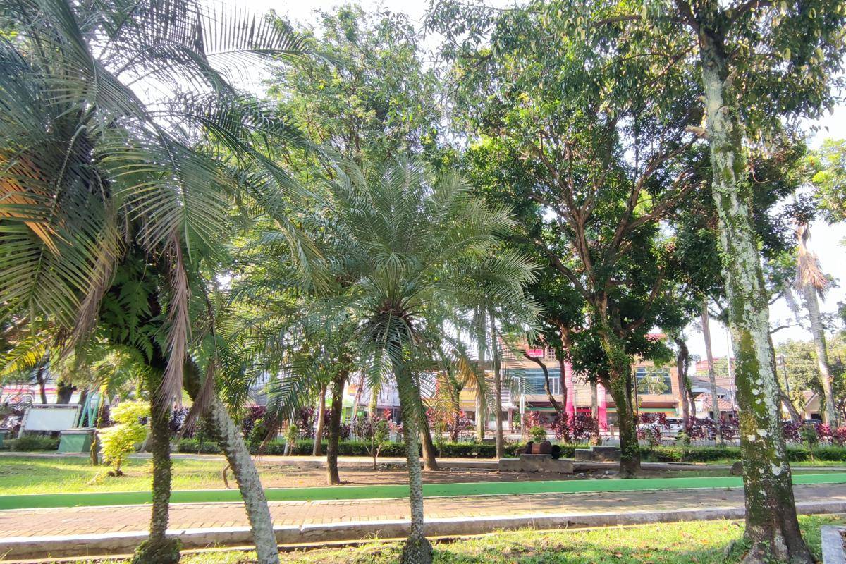 Rindangnya pepohonan di Taman Gajah Mada Medan menghadirkan suasana sejuk, jadi tempat pas untuk melepas penat dari hiruk pikuk kota. (Mangara Wahyudi)