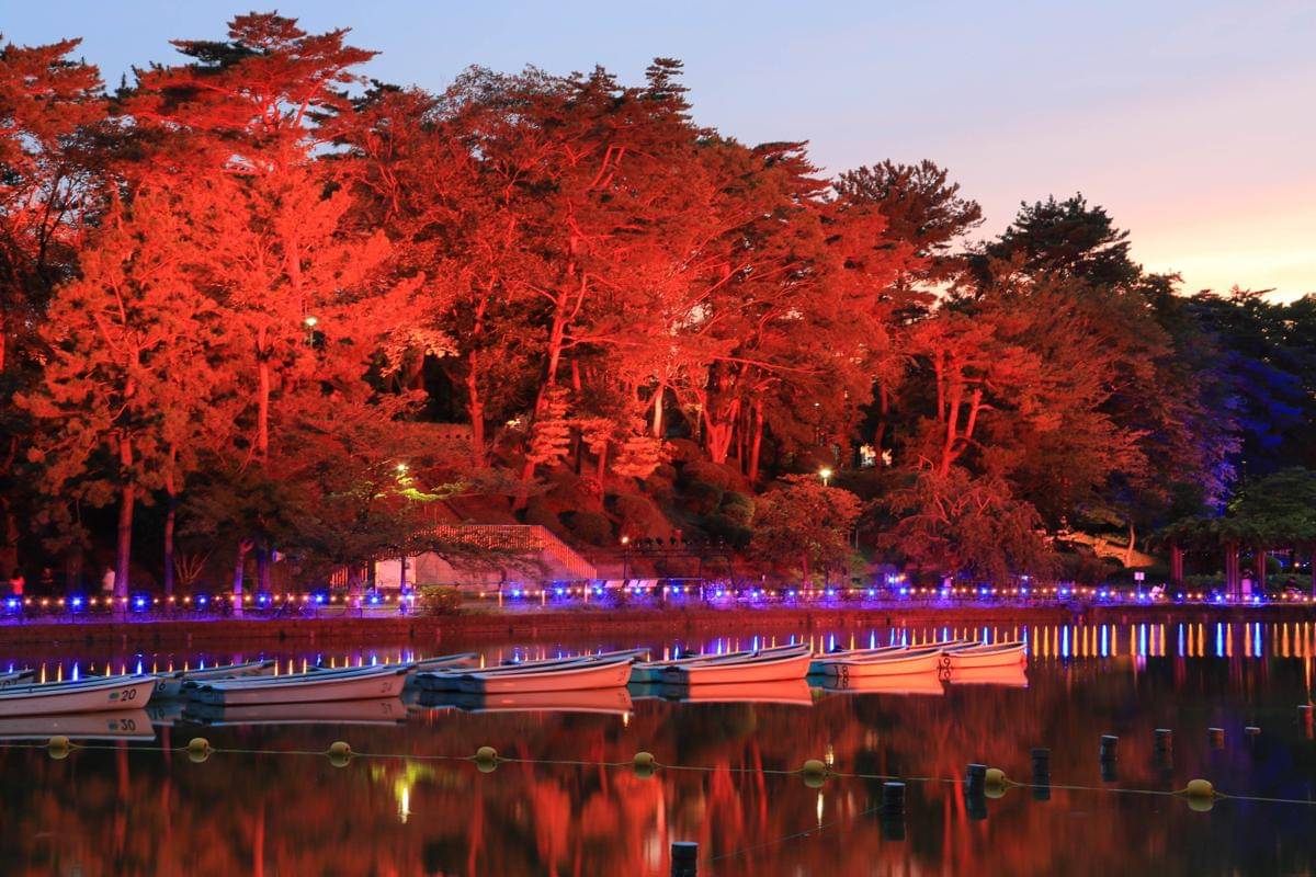 Taman Chiba, Chiba (photo-ac.com/ponchan1750)
