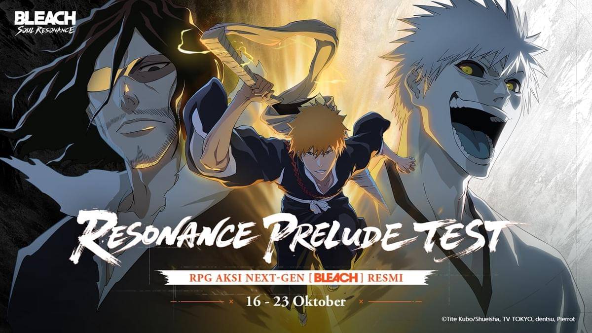 Bleach Soul Resonance 