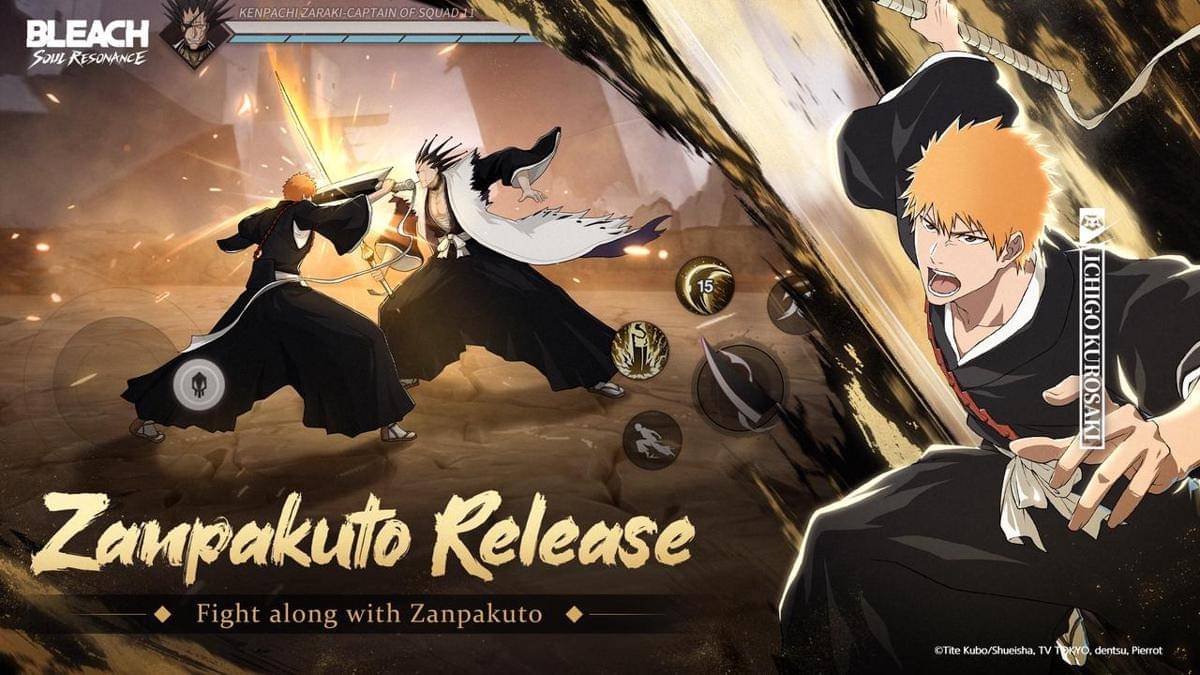 Bleach Soul Resonance