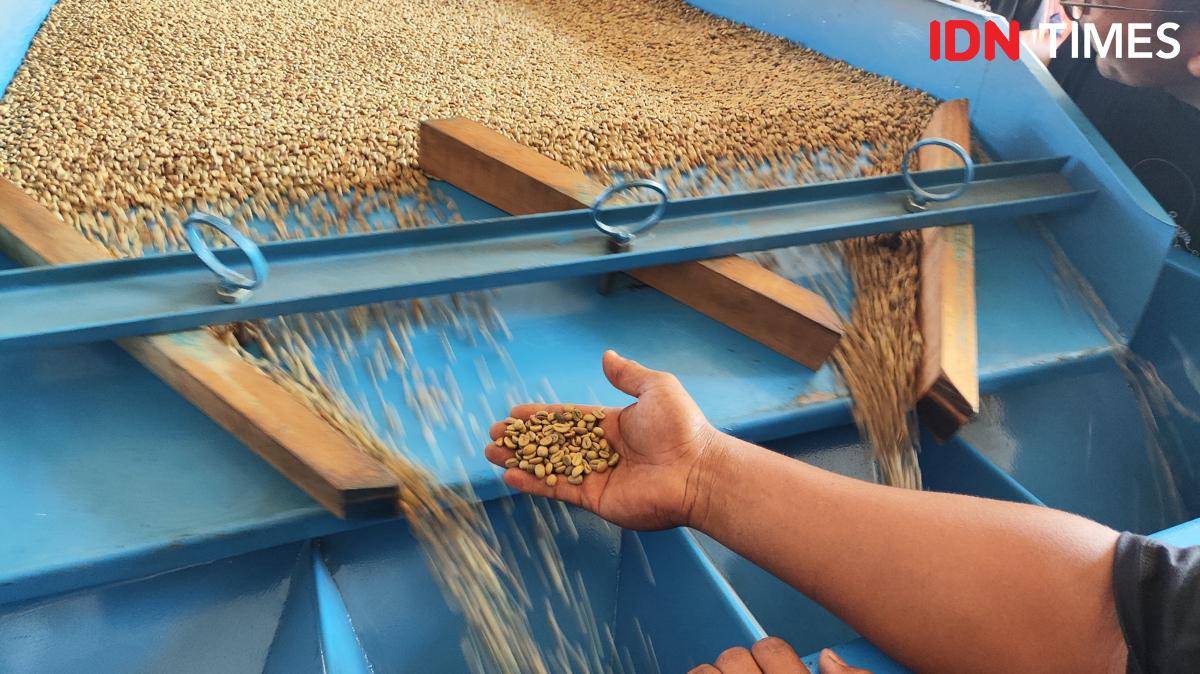 Biji kopi yang difilter petani di Kintamani untuk Kopi Kenangan (IDN Times/Yosafat Diva Bayu Wisesa)