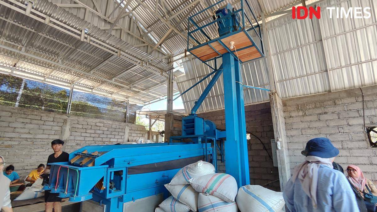 Mesin biji kopi yang difilter petani di Kintamani untuk Kopi Kenangan (IDN Times/Yosafat Diva Bayu Wisesa)