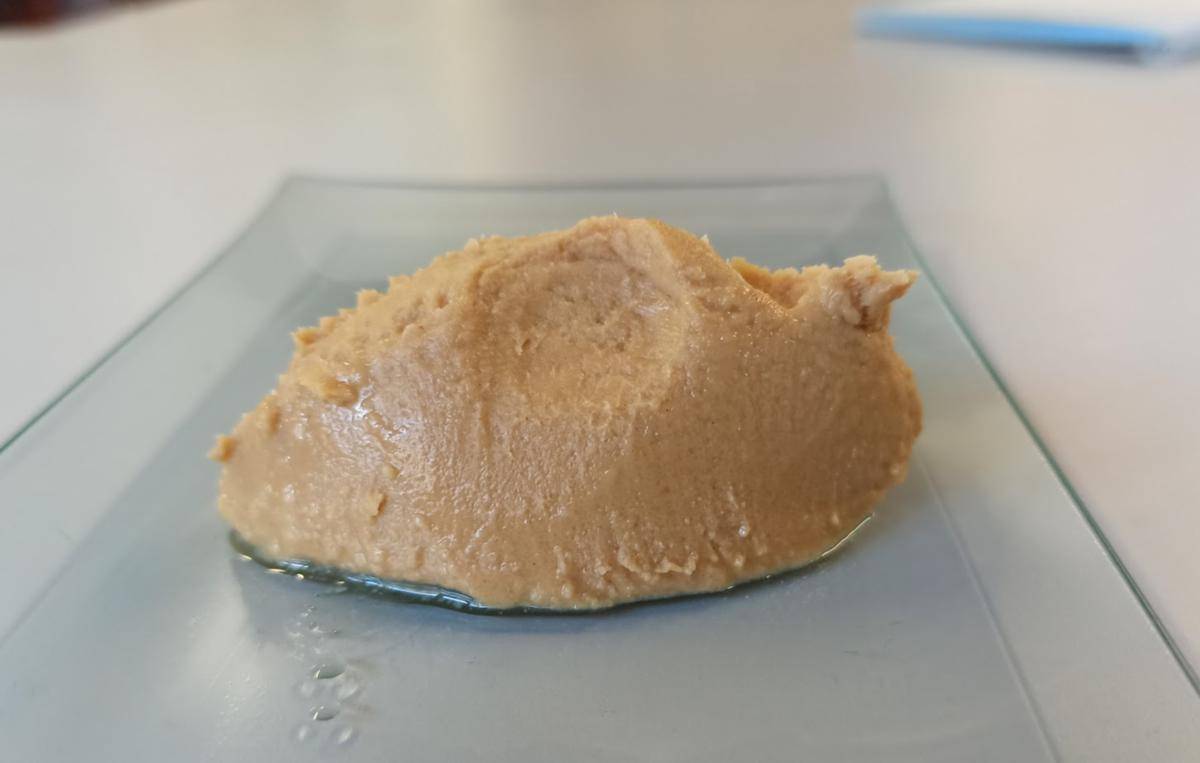 ilustrasi praline paste 