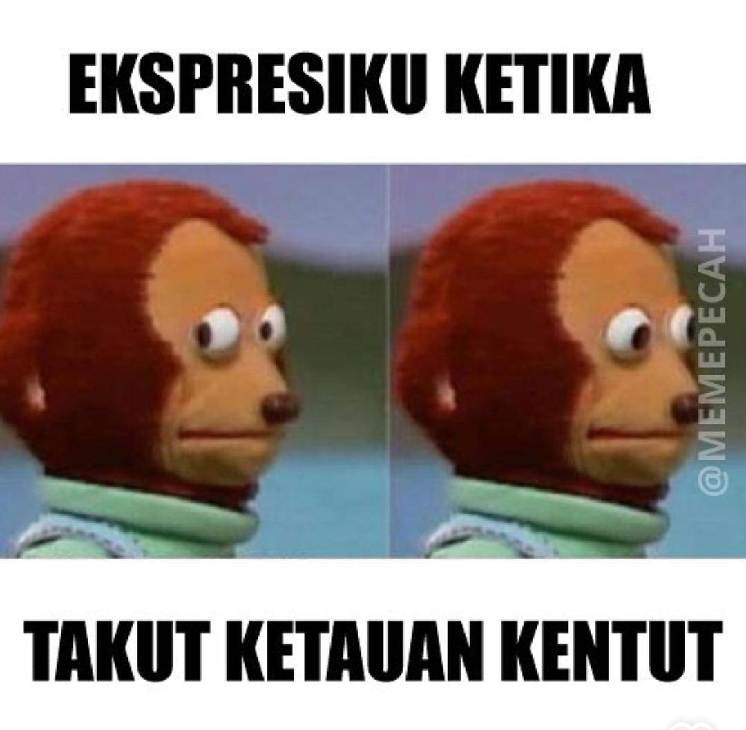 meme kentut