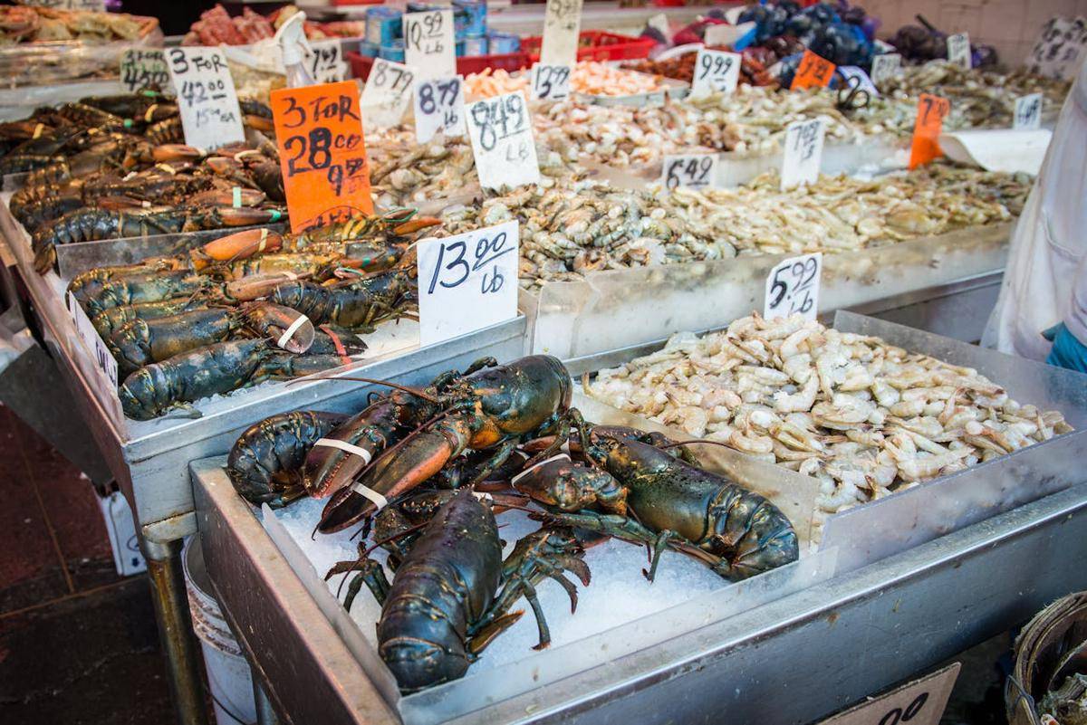 ilustrasi seafood segar 