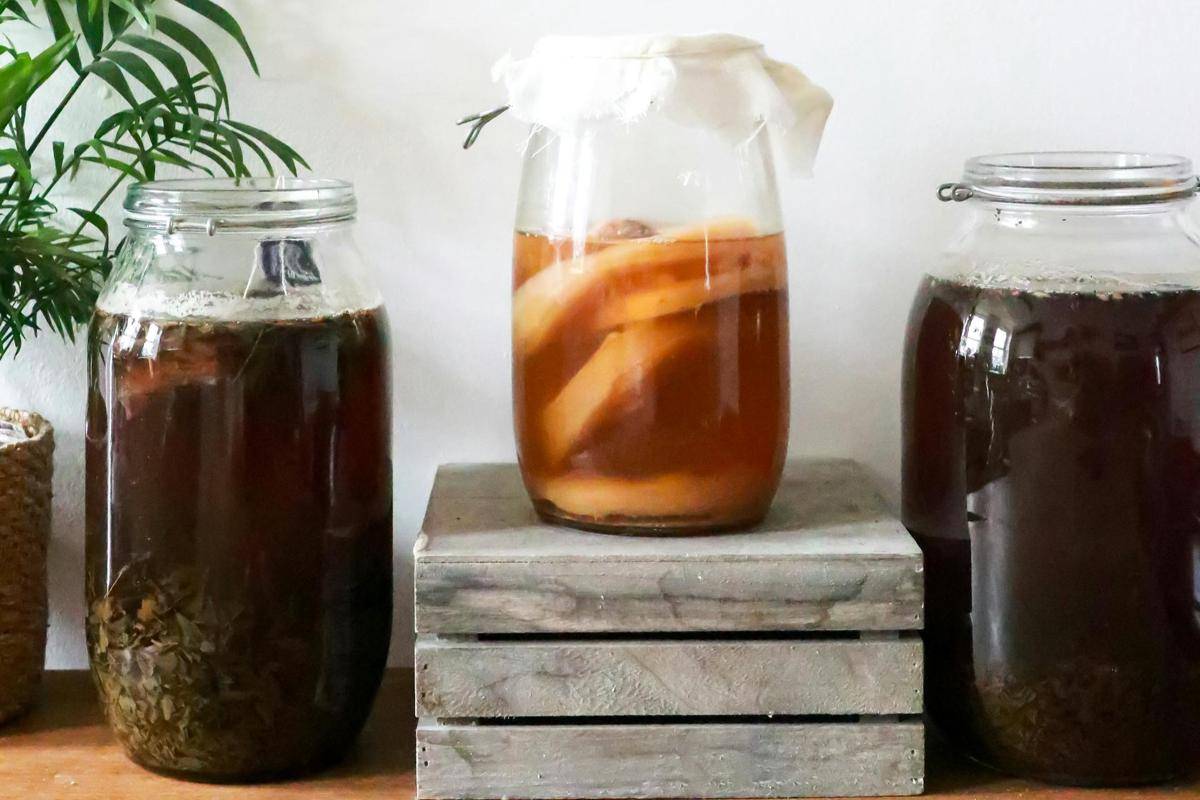 Potret kombucha 