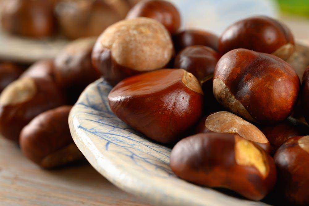 ilustrasi chestnut 