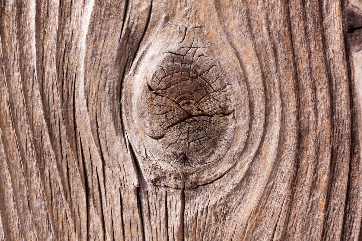 Ilustrasi kayu (pexels.com/Pixabay)