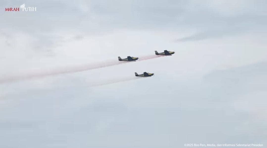 Pesawat TNI