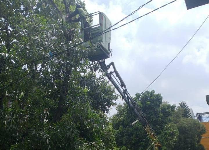 Pemangkasan pohon rawan tumbang di Kota Tangerang 
