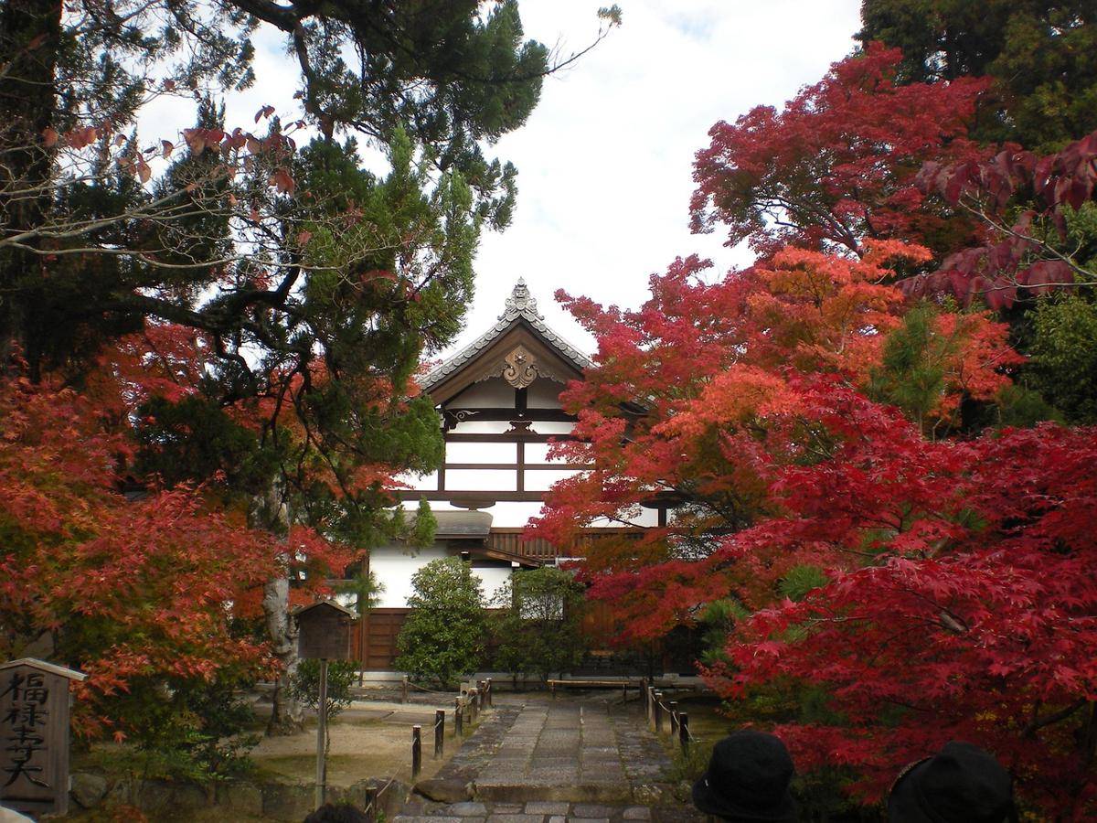 potret suasana musim gugur di Kyoto 