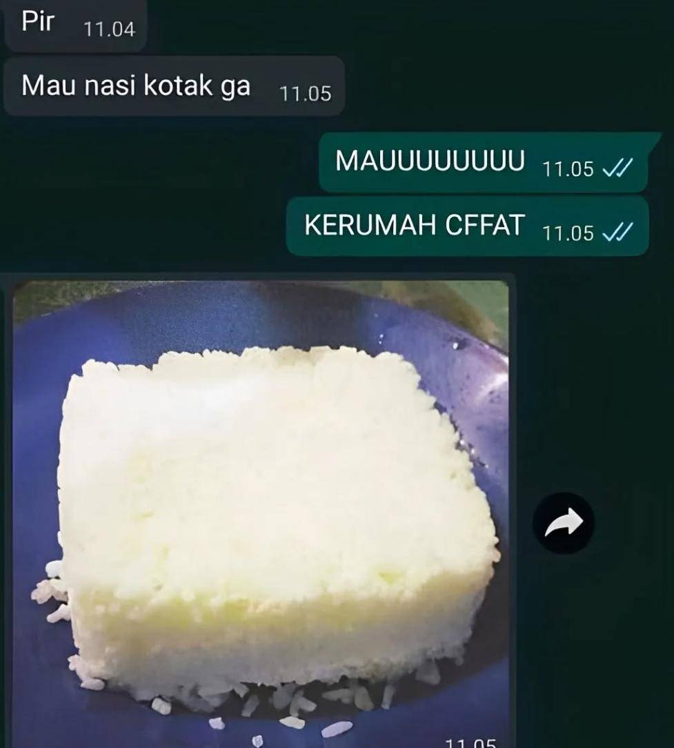 berburu nasi kotak