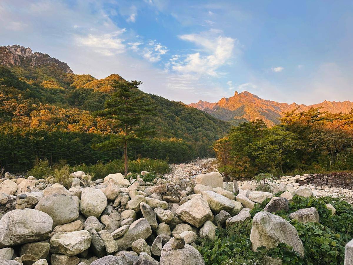 Seoraksan National Park, Korea Selatan (unsplash.com/Alexa Soh)