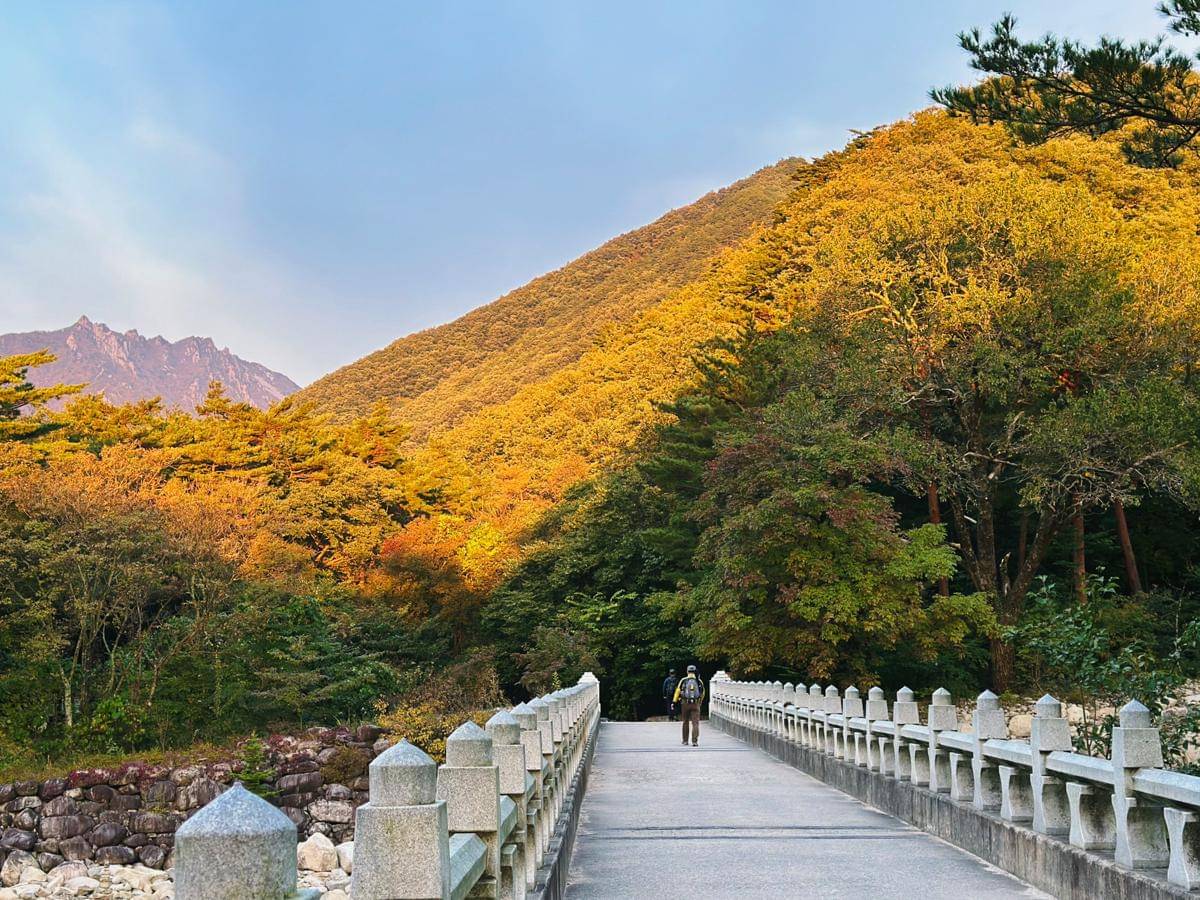 Seoraksan National Park, Korea Selatan (unsplash.com/ Alexa Soh)