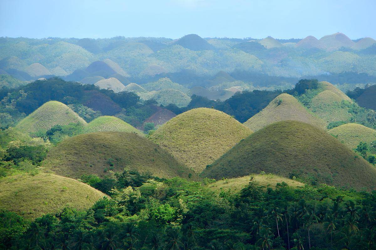 Chocolate Hills