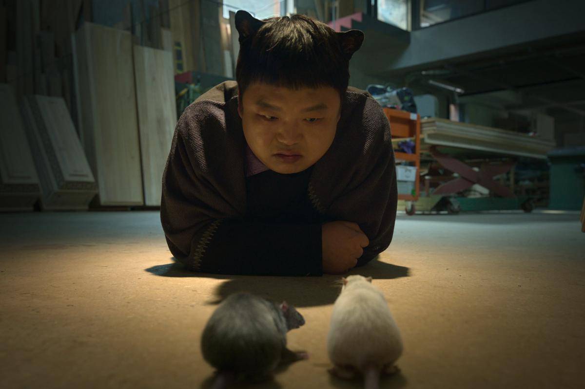 cuplikan drama Genie, Make a Wish (x.com/NetflixKR)