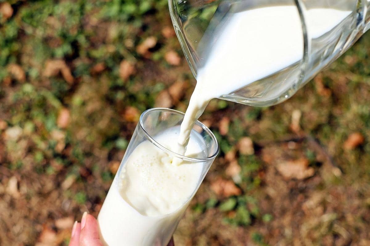 ilustrasi minum susu almond 