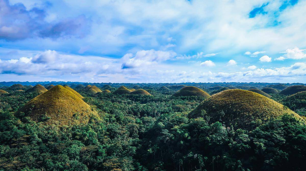 Chocolate Hills