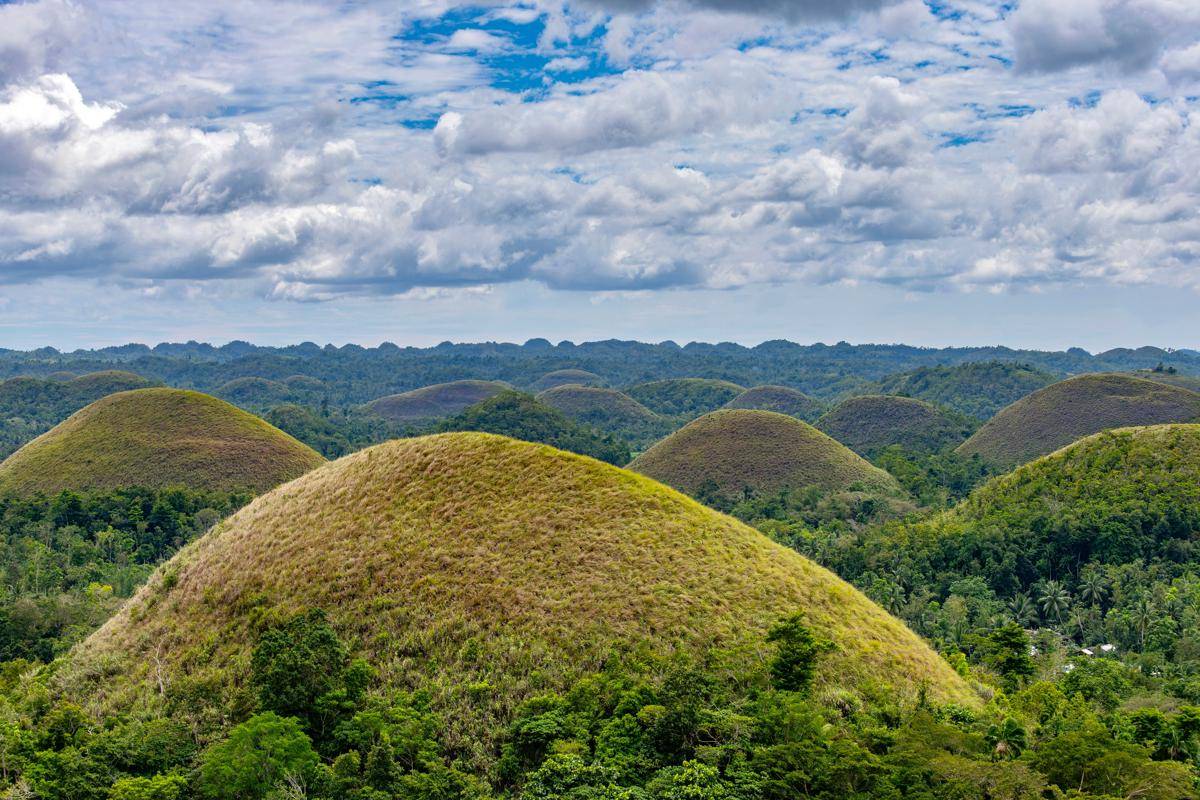 Chocolate Hills