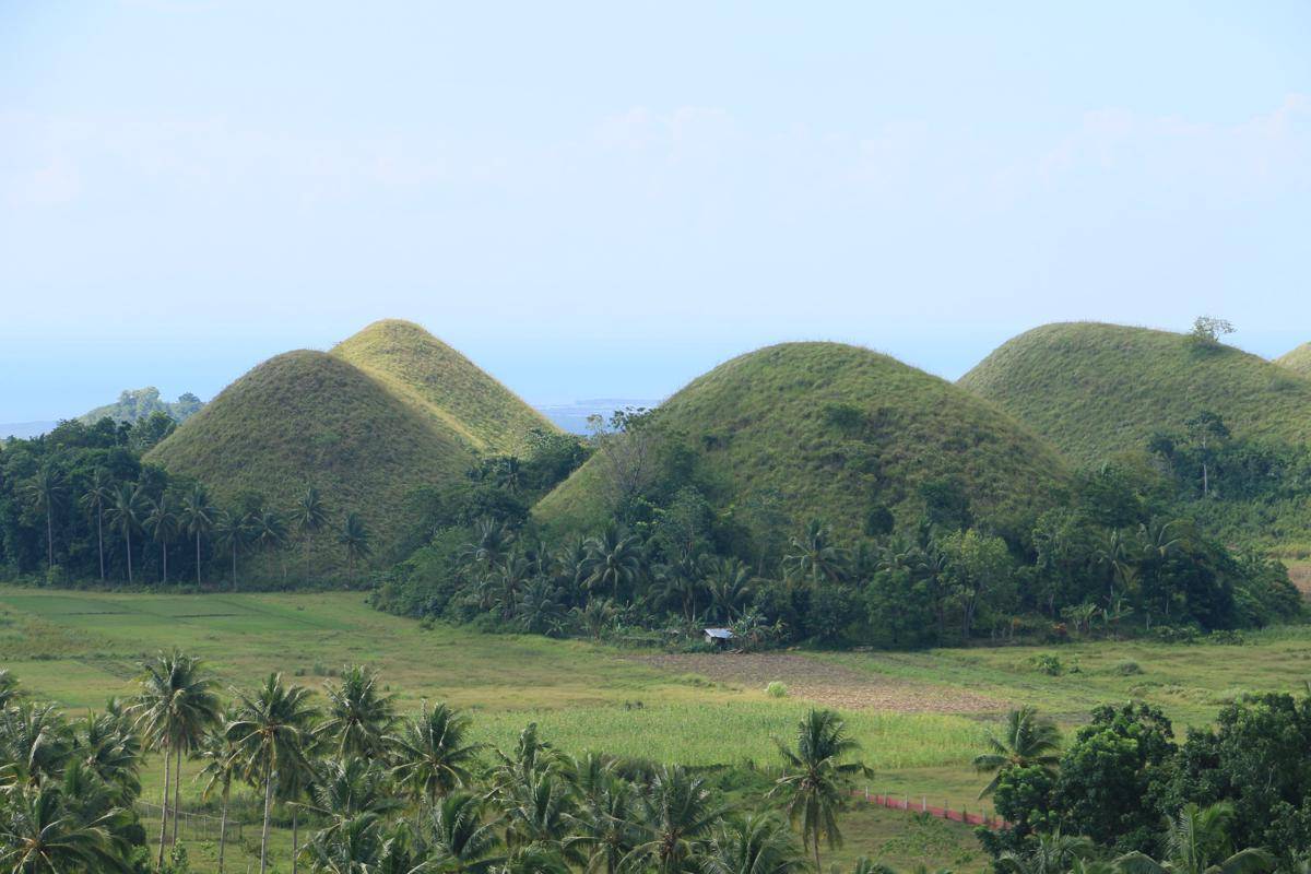 Chocolate Hills