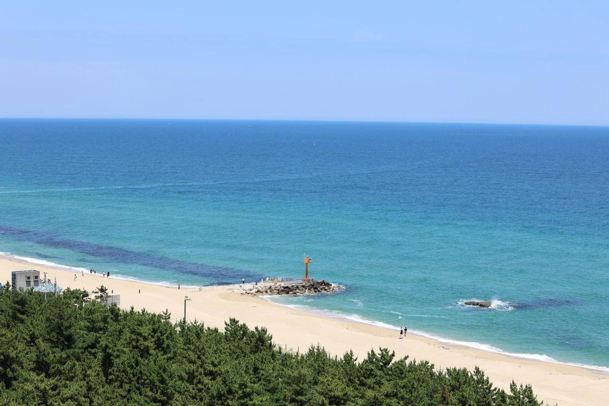Gangneung, Korea Selatan (unsplash.com/Seongil Park)