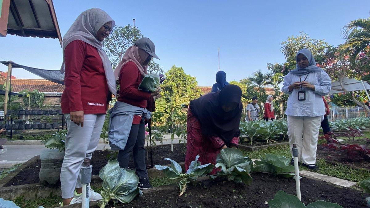 Pemanfaatan ruang terbuka hijau yang dilakukan ibu-ibu di RW 06 Kampung Rejosari, Kelurahan Rejowinangun, Kotagede. 