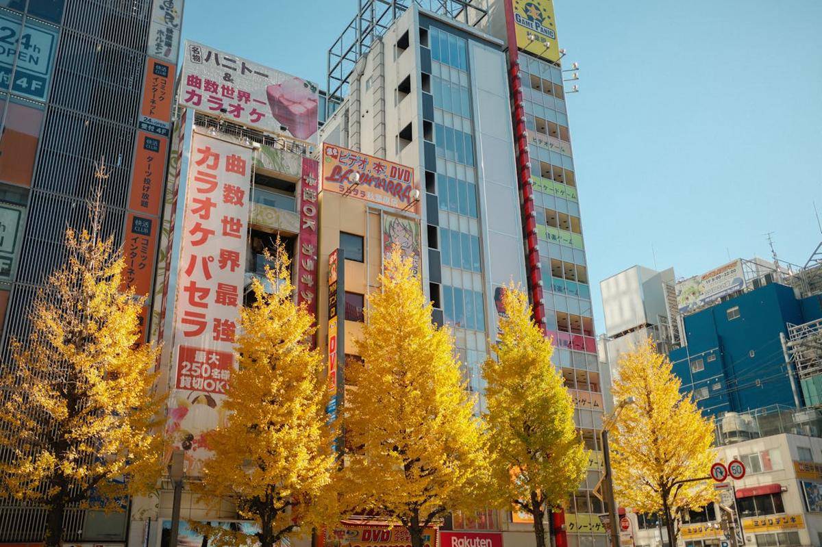 Potret musim gugur di Tokyo, Jepang 