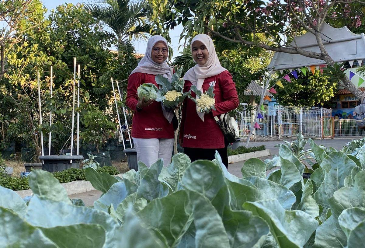 Pemanfaatan ruang terbuka hijau yang dilakukan ibu-ibu di RW 06 Kampung Rejosari, Kelurahan Rejowinangun, Kotagede.