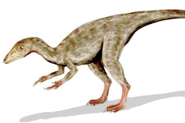 Dinosaurus Terpintar